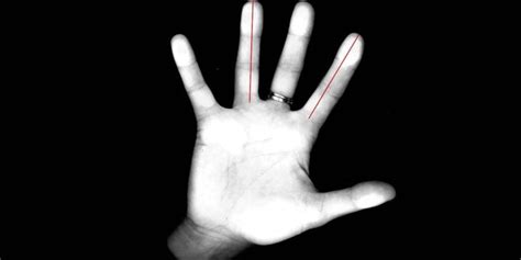 The Neuroscience of Finger Length Ratio and Athletic Prowess.